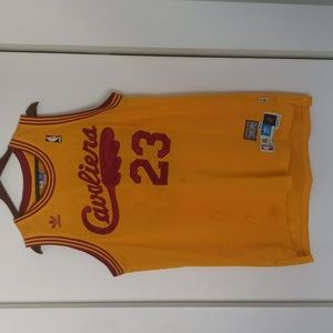 Lebron James Hardwood Classic Jersey